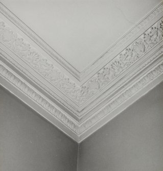 52, 54, 56 Melville Street, interior.
Detail of cornice.