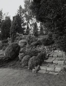 View of terraces and steps