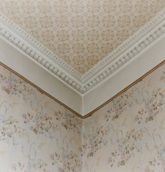 Pilrig House, interior
First floor, rear South East bedroom, view of cornice and wall and ceiling paper