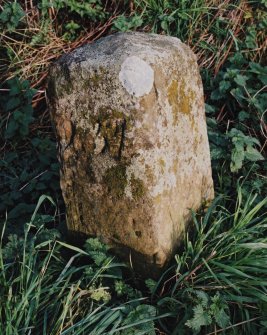 View of milestone