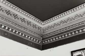 22 Royal Circus, interior
Detail of cornice in former dining room