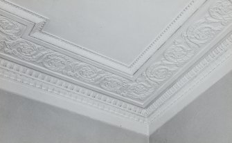 Interior, first floor, view of front apartment ceiling cornice.
