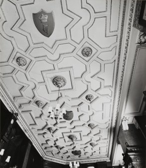 Oyster Bar, interior. General view of the ceiling.