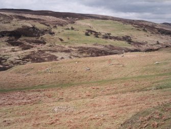 View of township buildings and enclosure (Rog95 709-11)