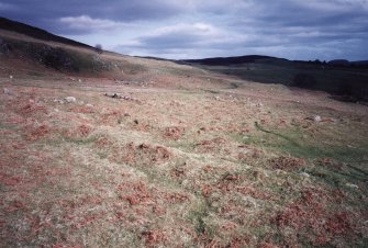 Leataidh: view of byre-dwelling (Rog95 709) from NW