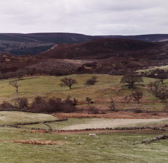 General view of Little Rogart