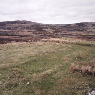 Grumby farmstead: view from NW corner of stackyard to N of main range, with detail of stack stands