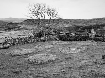 Grumby farmstead: view from NW corner of stackyard to N of main range, with detail of stack stands