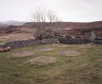 Grumby farmstead: view from NW corner of stackyard to N of main range, with detail of stack stands