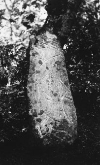 Craigton Pictish Symbol Stone.