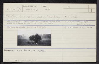 Holly Tree, NT73SW 2, Ordnance Survey index card, Recto