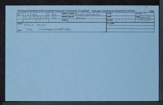 Holly Tree, NT73SW 2, Ordnance Survey index card, Recto