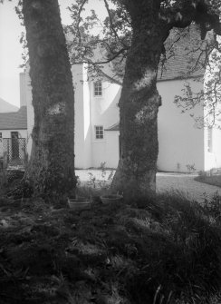 View through trees