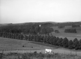 General view from E showing lime avenue.