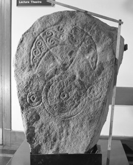 Pictish symbol stone, with scale
