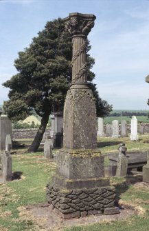 View of memorial monument ( Walsh?) with decorated pillar, Orwell Old Parish Churchyard.