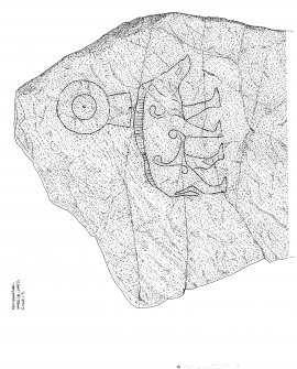 Scanned copy of ink drawing of Knocknagael Boar Stone