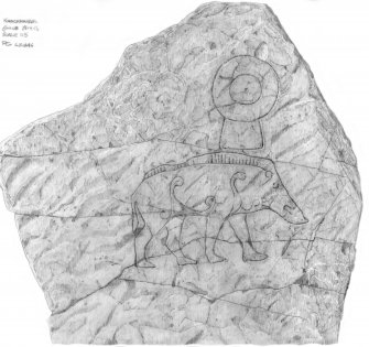 Scanned copy of pencil drawing of Knocknagael Boar Stone