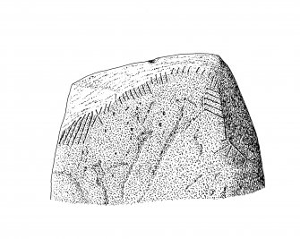 Mains of Afforsk, scanned copy of ink drawing of the north edge of cross-incised stone with ogam inscription