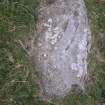 Detail of cup marked sheet of bedrock