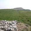 View looking E along infilled line of tracked target