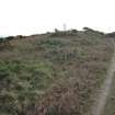 View looking W along ridge towards Wall Hill fort