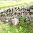 On-line Digital Images
