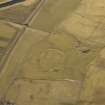 Oblique aerial view centred on the remains of the settlement, taken from the S.