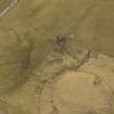 Oblique aerial view centred on the remains of the plantation bank and rig, taken from the NNW.