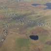 Oblique aerial view of centred on the crofting township, taken from the E.