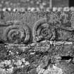 Detail of sculptured stone at Kinnell, bearing double serpent (B&W)