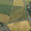 Oblique aerial view centred on the cropmarks of the the barrow, taken from the NNE.