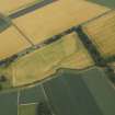 Oblique aerial view centred on the cropmarks of the enclosures and trackway, taken from the WSW.