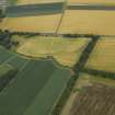 Oblique aerial view centred on the cropmarks of the enclosures and trackway, taken from the SW.