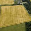 Oblique aerial view of the cropmarks of the barrow and rig, taken from the ENE.
