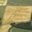 Oblique aerial view of the cropmarks of the barrow and rig, taken from the NW.