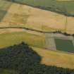 Oblique aerial view centred on the cropmarks of the fort, taken from the NE.