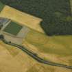 Oblique aerial view centred on the cropmarks of the fort, taken from the SSW.