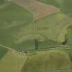 Oblique aerial view centred on the parchmarks of the enclosure, taken from the E.