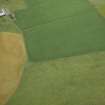 Oblique aerial view centred on the cropmarks of the enclosure, taken from the SSW.