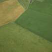 Oblique aerial view centred on the cropmarks of the enclosure, taken from the SE.