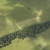 Oblique aerial view of the parchmarks of the settlement, taken from the ENE.