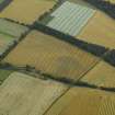 Oblique aerial view centred on the cropmarks of the possible souterrains with the railway station adjacent, taken from the NW.