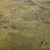 Oblique aerial view centred on the sheepfold and the remains of the sheepfolds, field-system and rig, taken from the WNW.