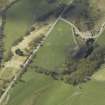 Oblique aerial view centred on the remains of the clearance cairns with the limekiln adjacent, taken from the E.