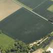 Oblique aerial view centred on the cropmarks of the pit-alignment and possible unenclosed settlement, taken from the NNW.