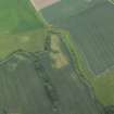 Oblique aerial view centred on the cropmarks of the rig, quarry and possible enclosure, taken from the W.