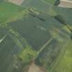 Oblique aerial view centred on the cropmarks of the rig and field boundaries with the remains of the tower-house, cottage and dovecot adjacent, taken from the NW.