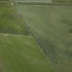 Oblique aerial view centred on the cropmarks of the enclosures, ring-ditch, rig and possible pit-alignment, taken from the SW.