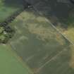 Oblique aerial view centred on the cropmarks of the possible enclosure and the pits, taken from the WNW.